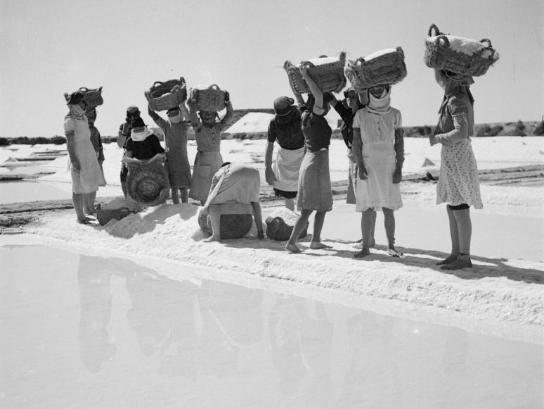 mulheres recolhendo sal