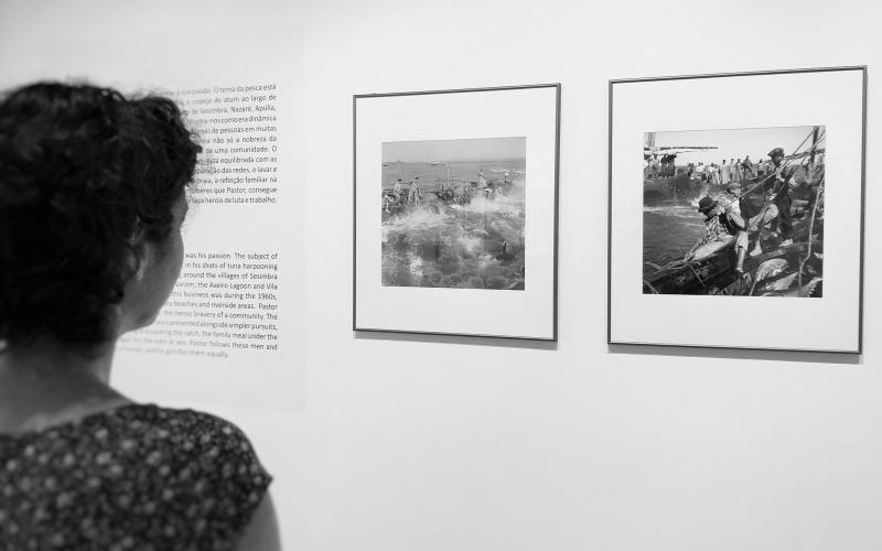 imagem de pesca do atum em Tavira